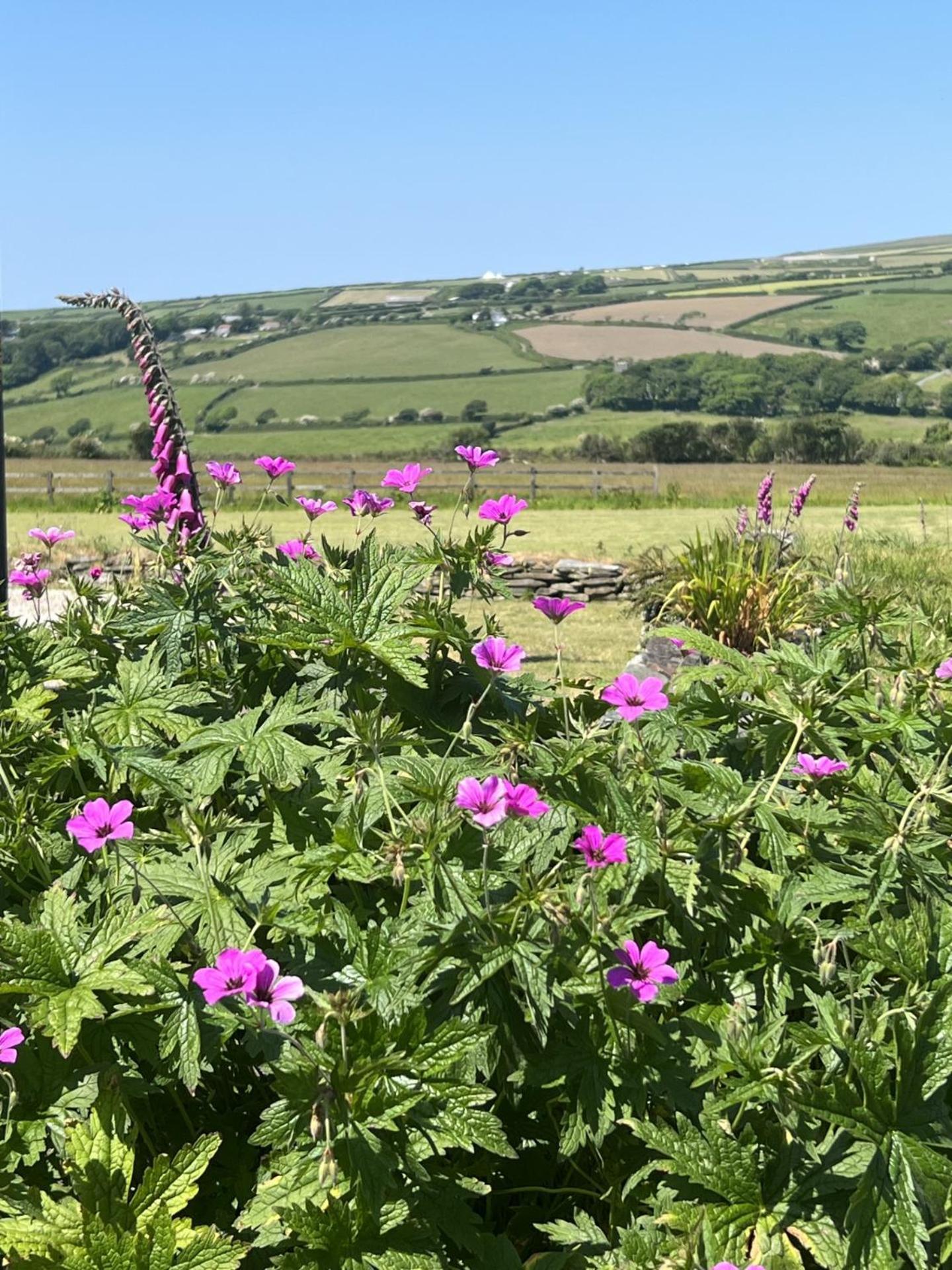 Courtyard Farm Cottages Boscastle Eksteriør bilde