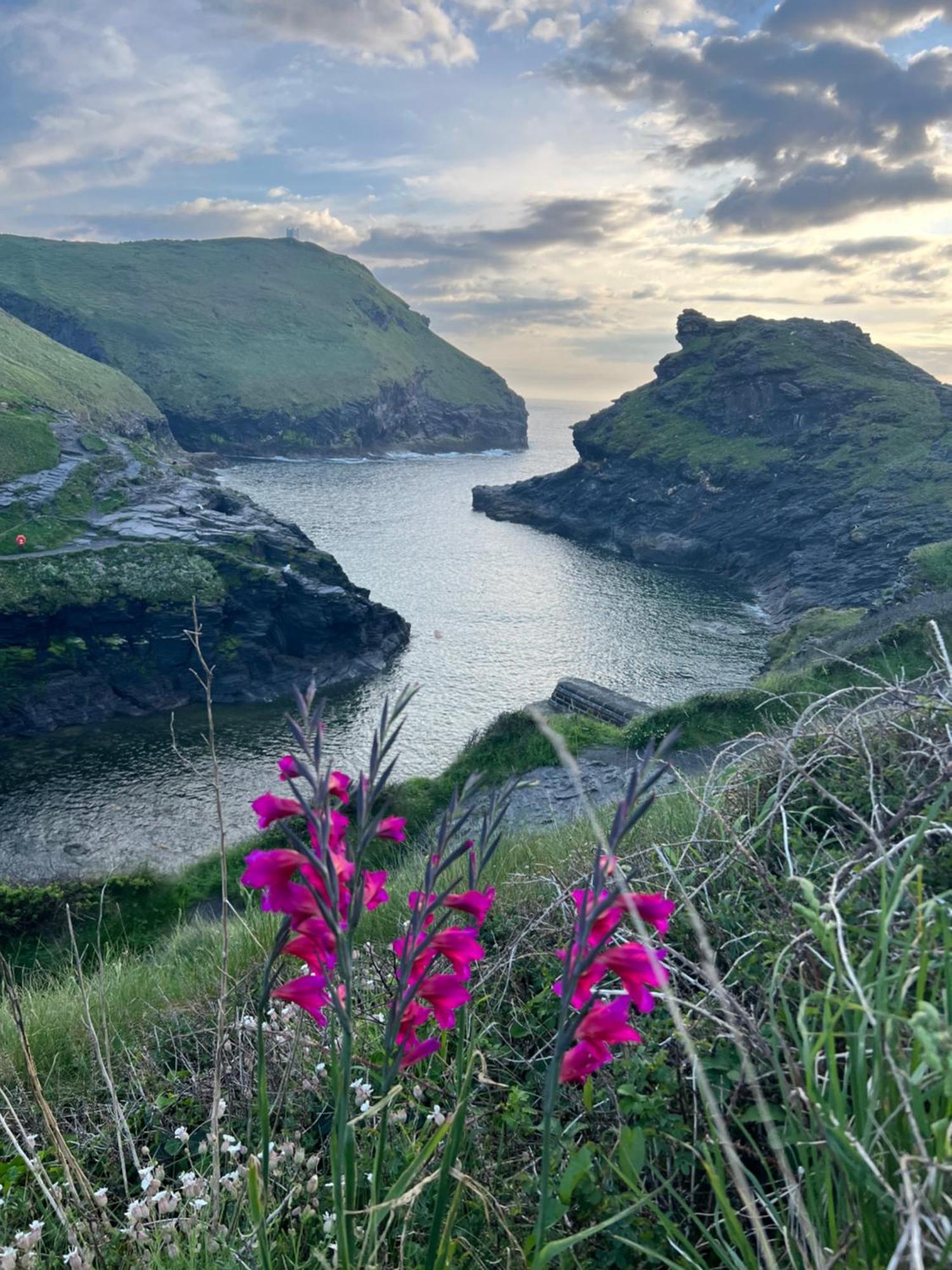 Courtyard Farm Cottages Boscastle Eksteriør bilde