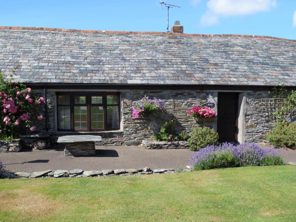 Courtyard Farm Cottages Boscastle Eksteriør bilde